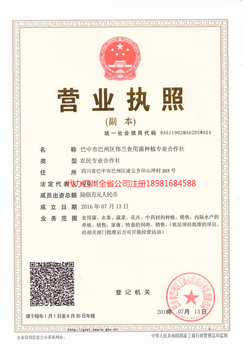 乐陵乐陵伟兰食用菌种植专业合作社